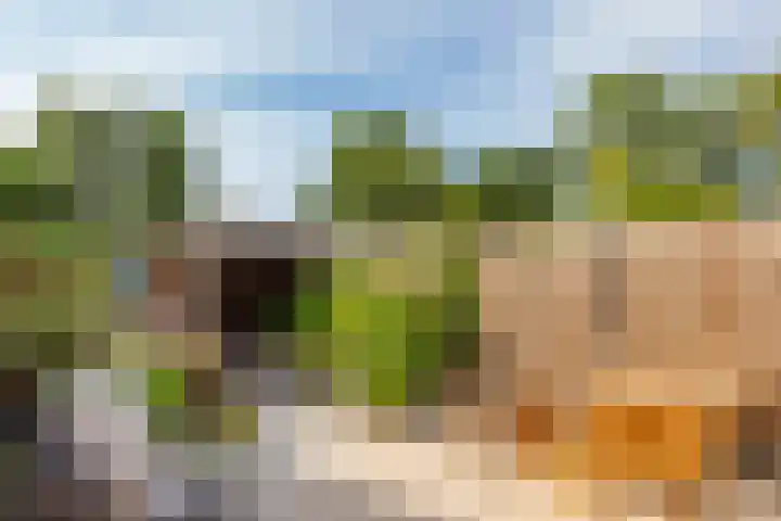 Voetakkerhoeve 9 Werkhoven thumbnail 15
