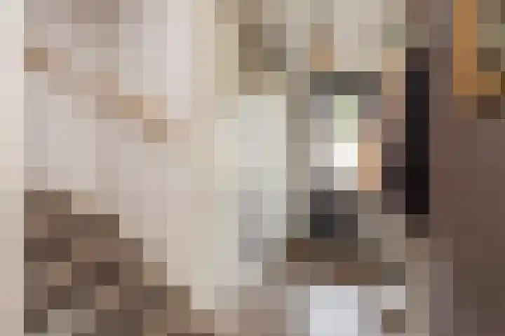 Voetakkerhoeve 9 Werkhoven thumbnail 18