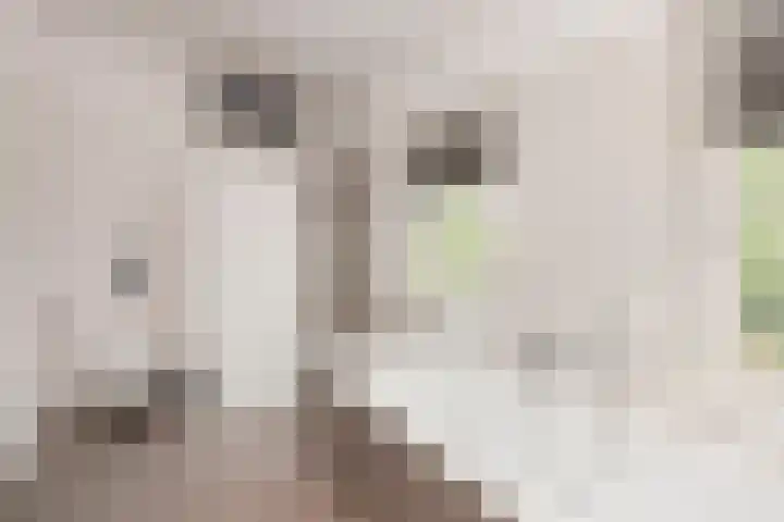 Voetakkerhoeve 9 Werkhoven thumbnail 25