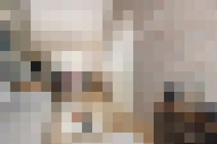 Voetakkerhoeve 9 Werkhoven thumbnail 29