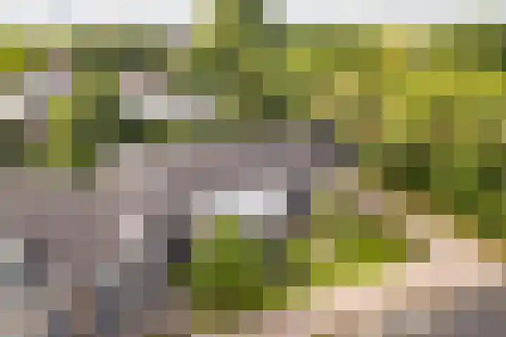 Voetakkerhoeve 9 Werkhoven thumbnail 32
