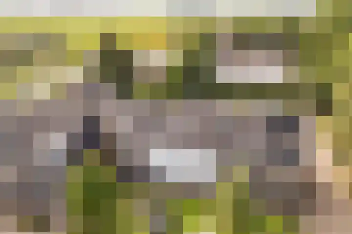 Voetakkerhoeve 9 Werkhoven thumbnail 33