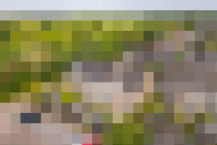 Voetakkerhoeve 9 Werkhoven thumbnail 35