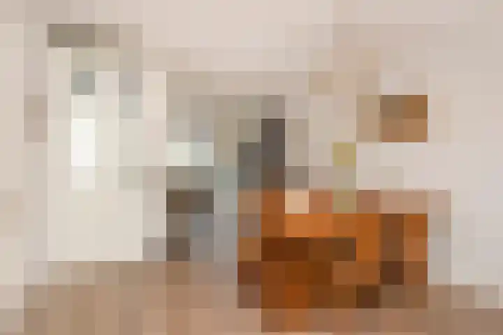 Voetakkerhoeve 9 Werkhoven thumbnail 6