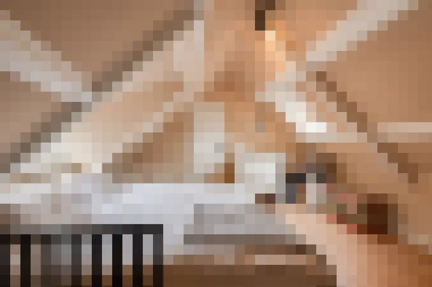 Voetakkerweg 6 Meteren thumbnail 23