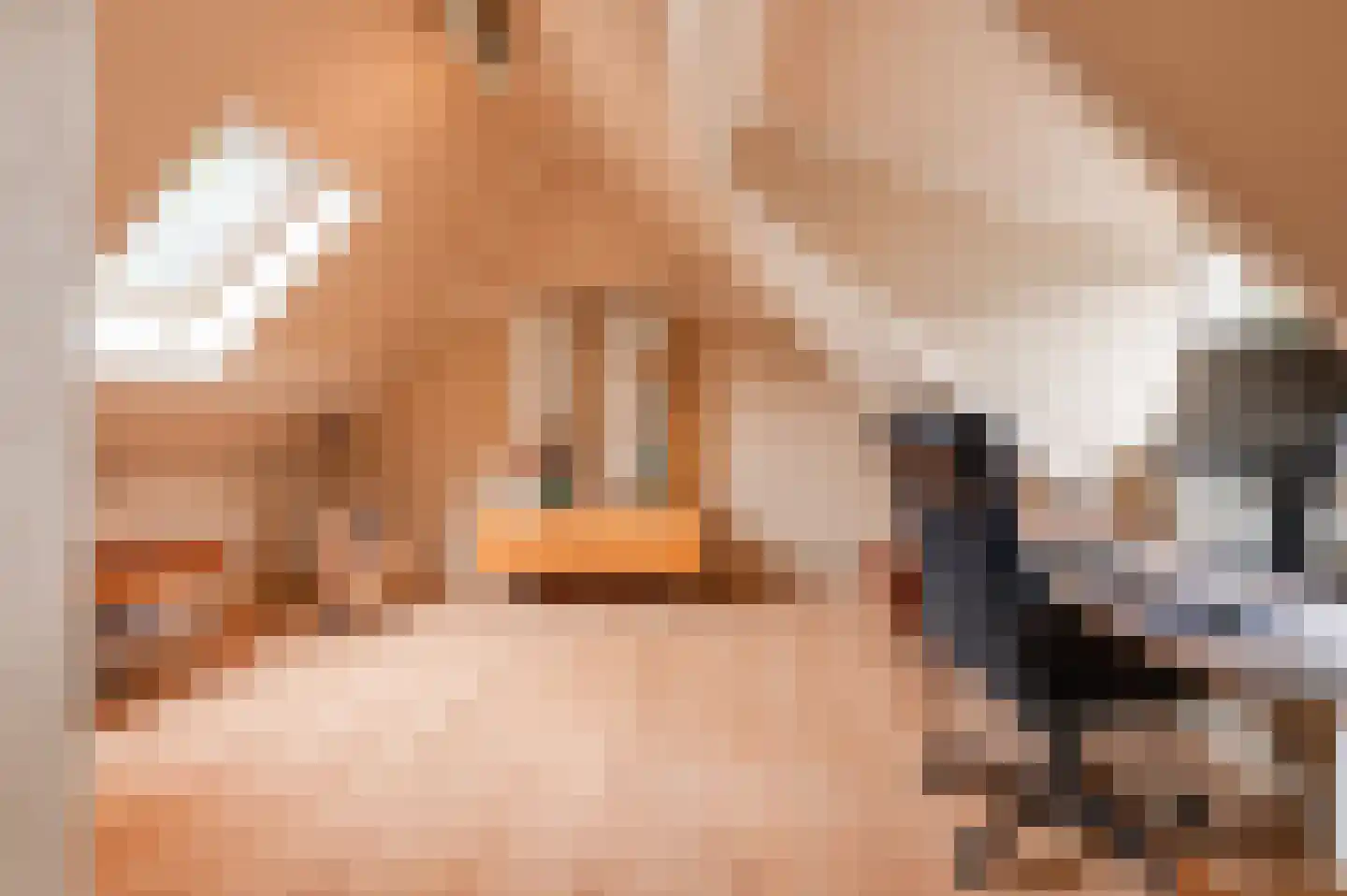 Voetakkerweg 6 Meteren thumbnail 24
