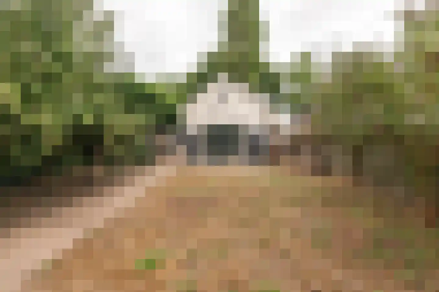 Voetakkerweg 6 Meteren thumbnail 32