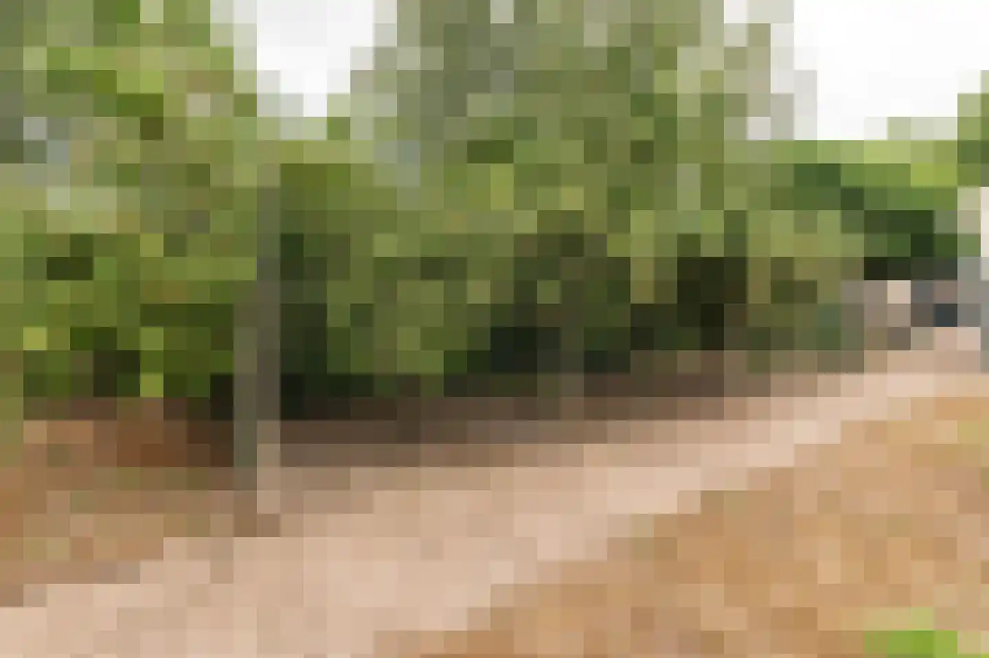Voetakkerweg 6 Meteren thumbnail 35