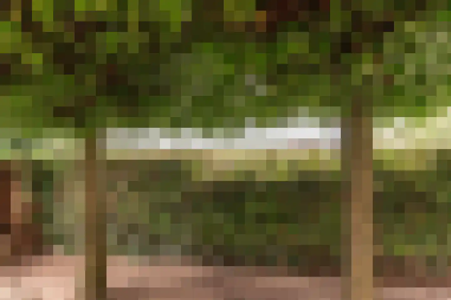Voetakkerweg 6 Meteren thumbnail 36