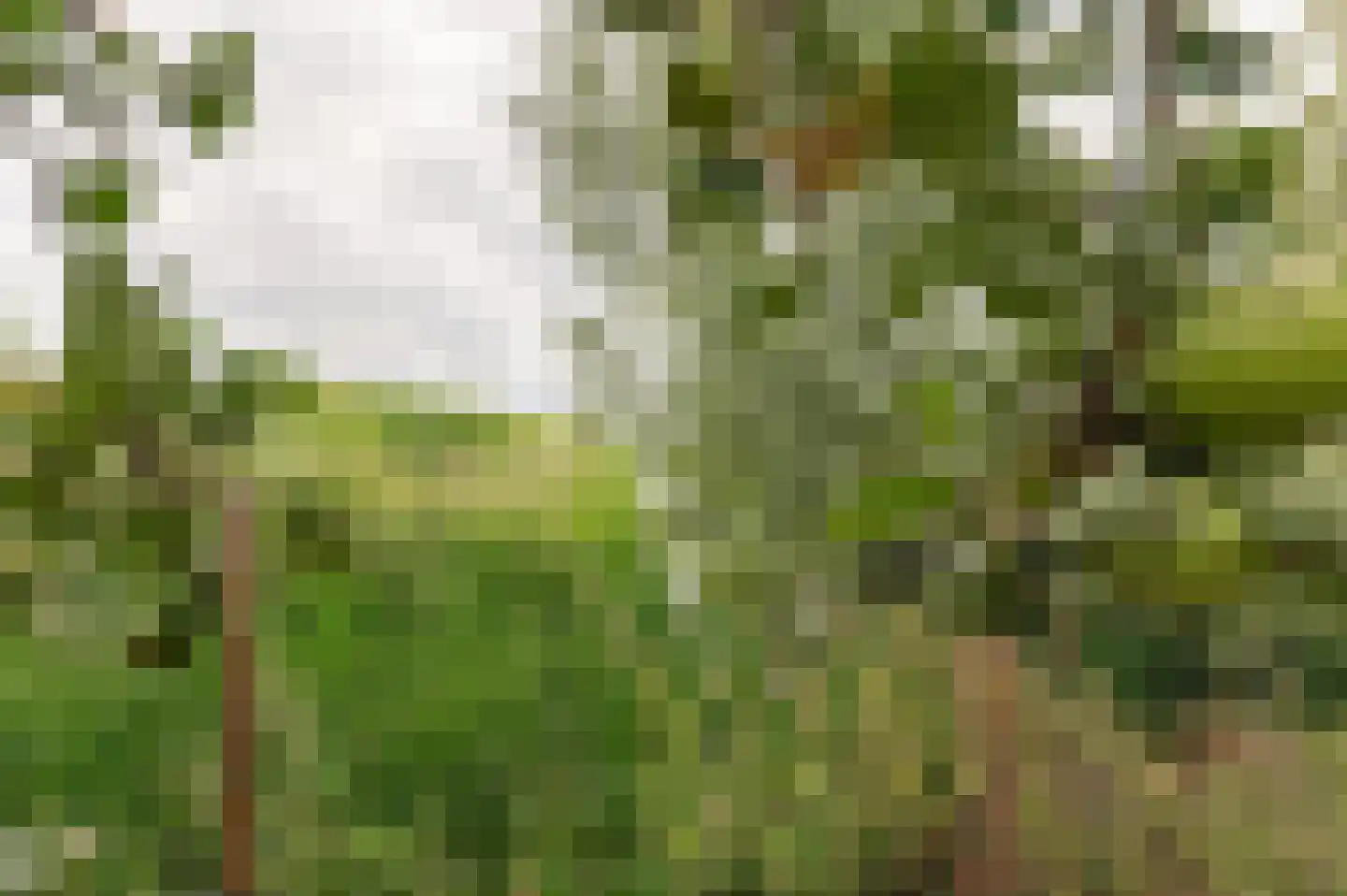 Voetakkerweg 6 Meteren thumbnail 37
