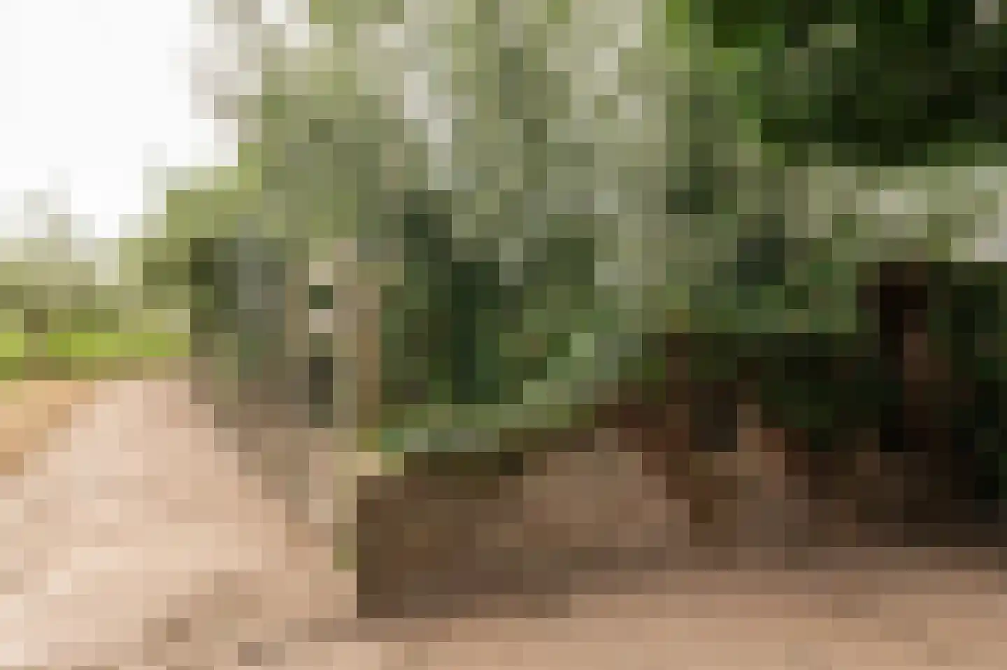 Voetakkerweg 6 Meteren thumbnail 38