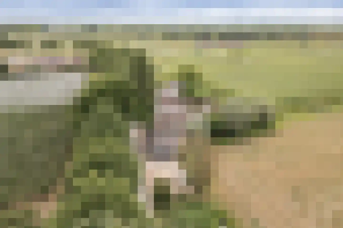 Voetakkerweg 6 Meteren thumbnail 44