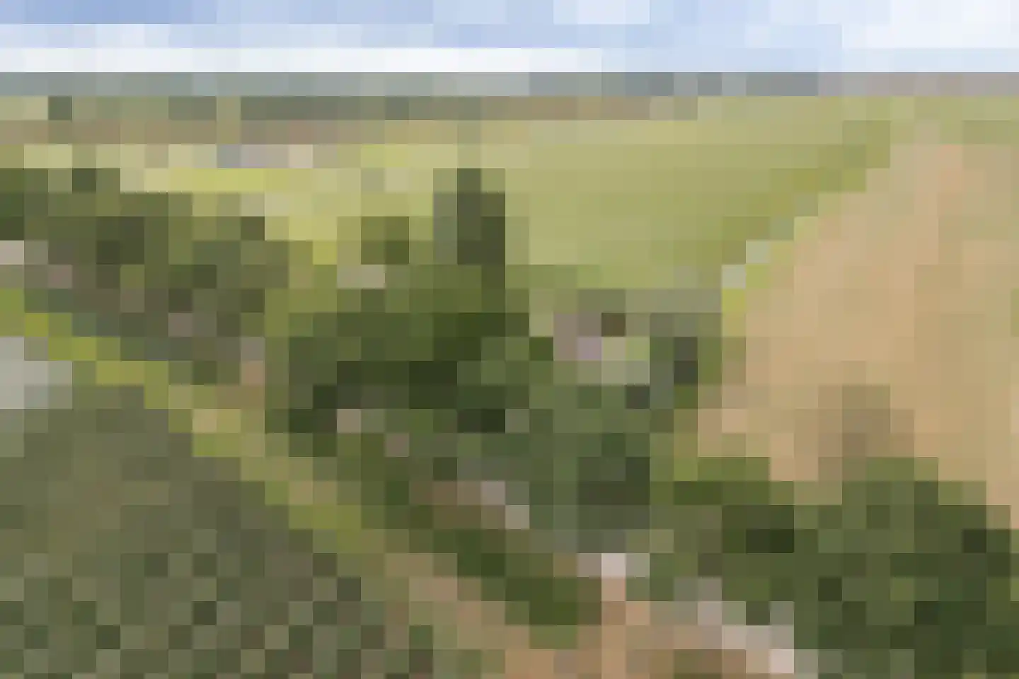 Voetakkerweg 6 Meteren thumbnail 45