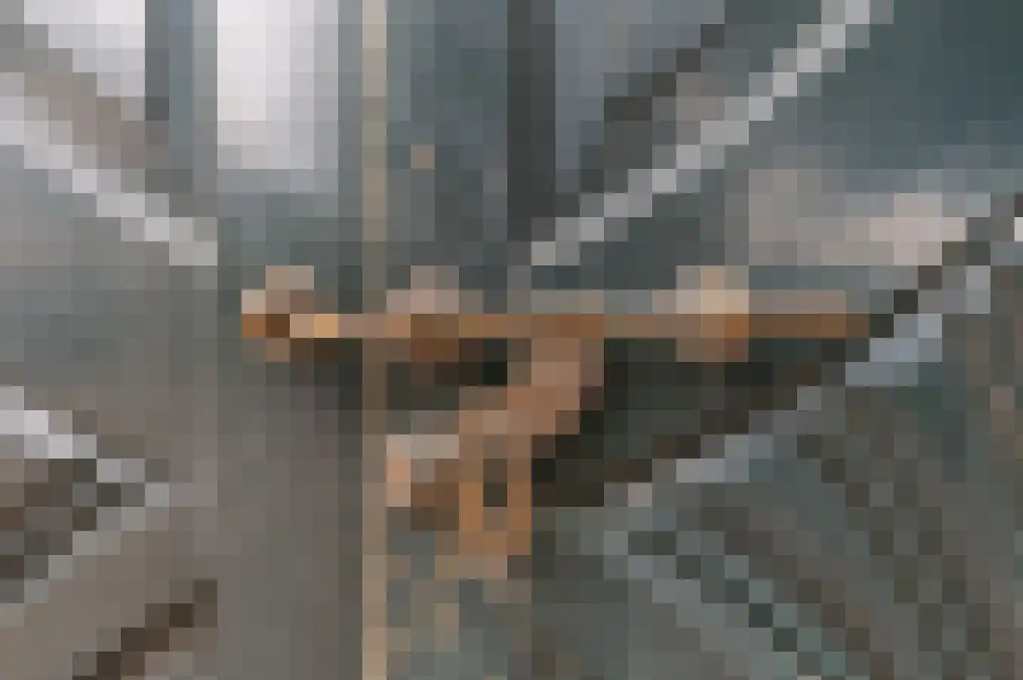 Voetakkerweg 6 Meteren thumbnail 8