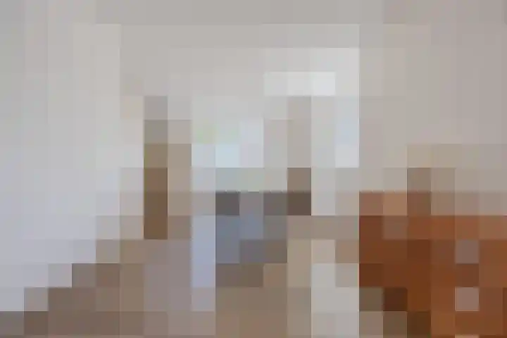 Voetboog 18 Best thumbnail 19