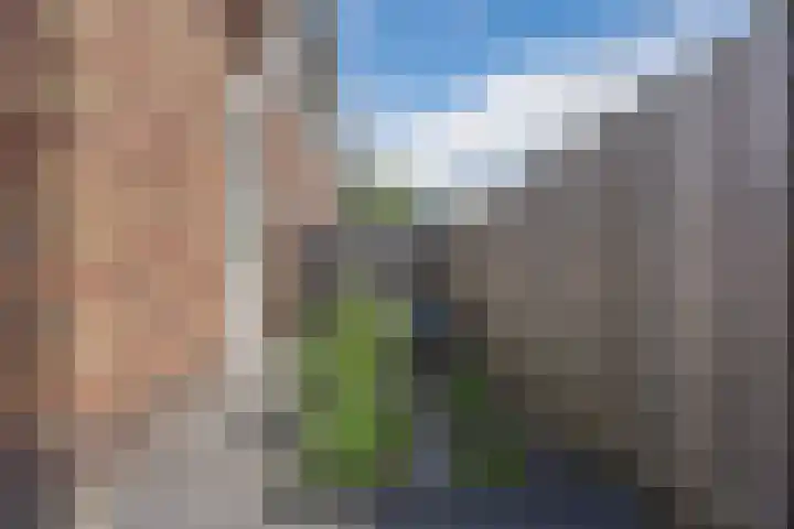 Voetboog 18 Best thumbnail 47