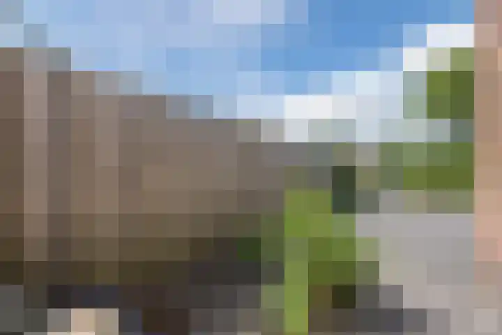 Voetboog 18 Best thumbnail 48