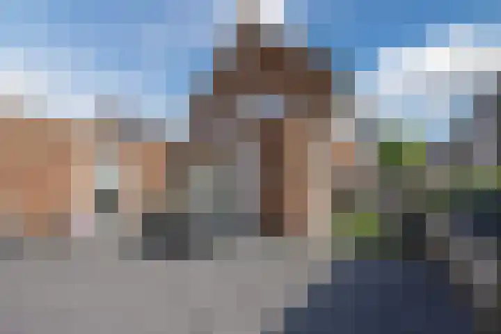 Voetboog 18 Best thumbnail 7