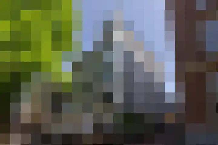 Voetboogstraat 1 E in Amsterdam