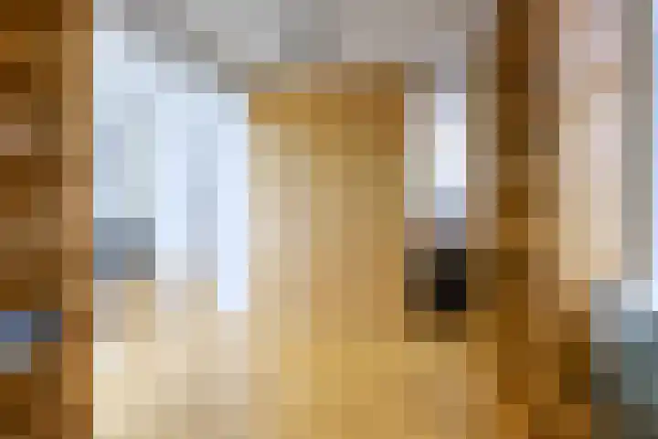 Voetboogstraat 1 E Amsterdam thumbnail 18