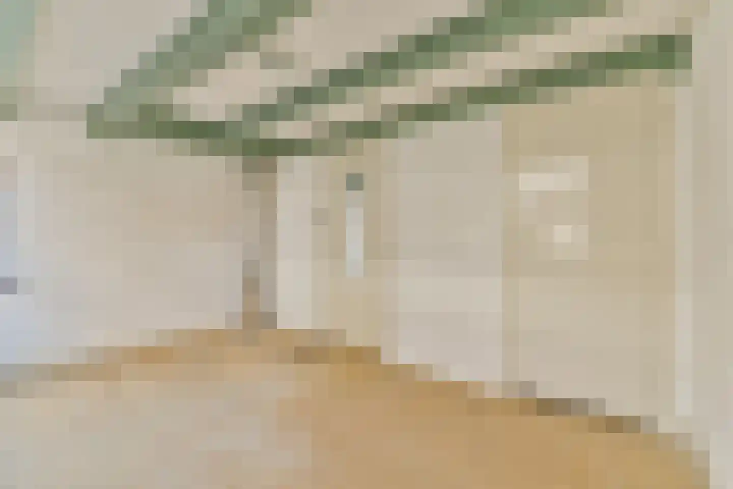 Voetboogstraat 12 1 Amsterdam thumbnail 14