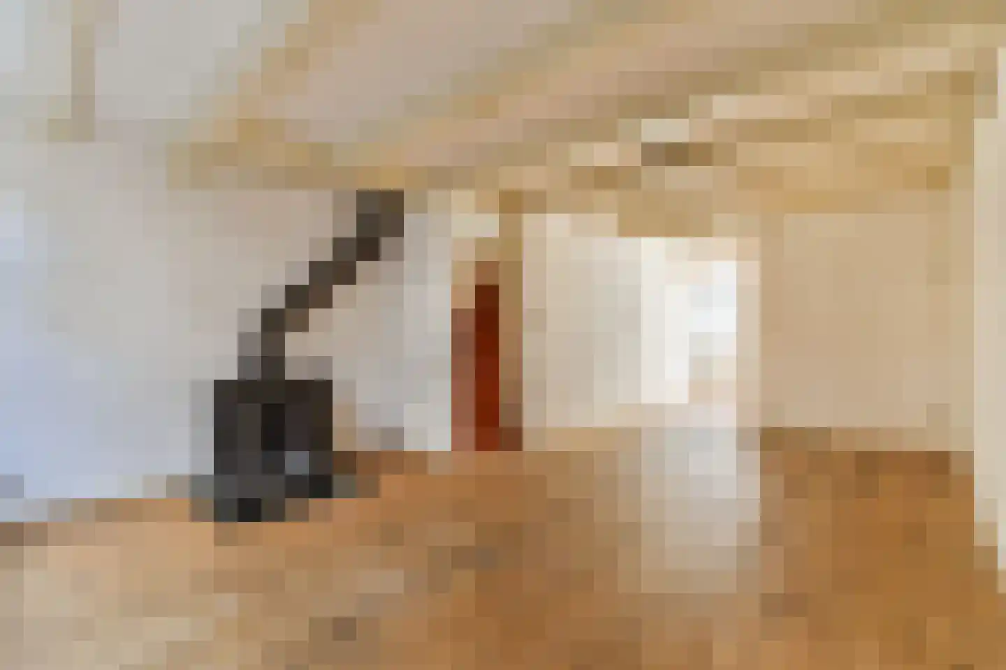 Voetboogstraat 12 1 Amsterdam thumbnail 4
