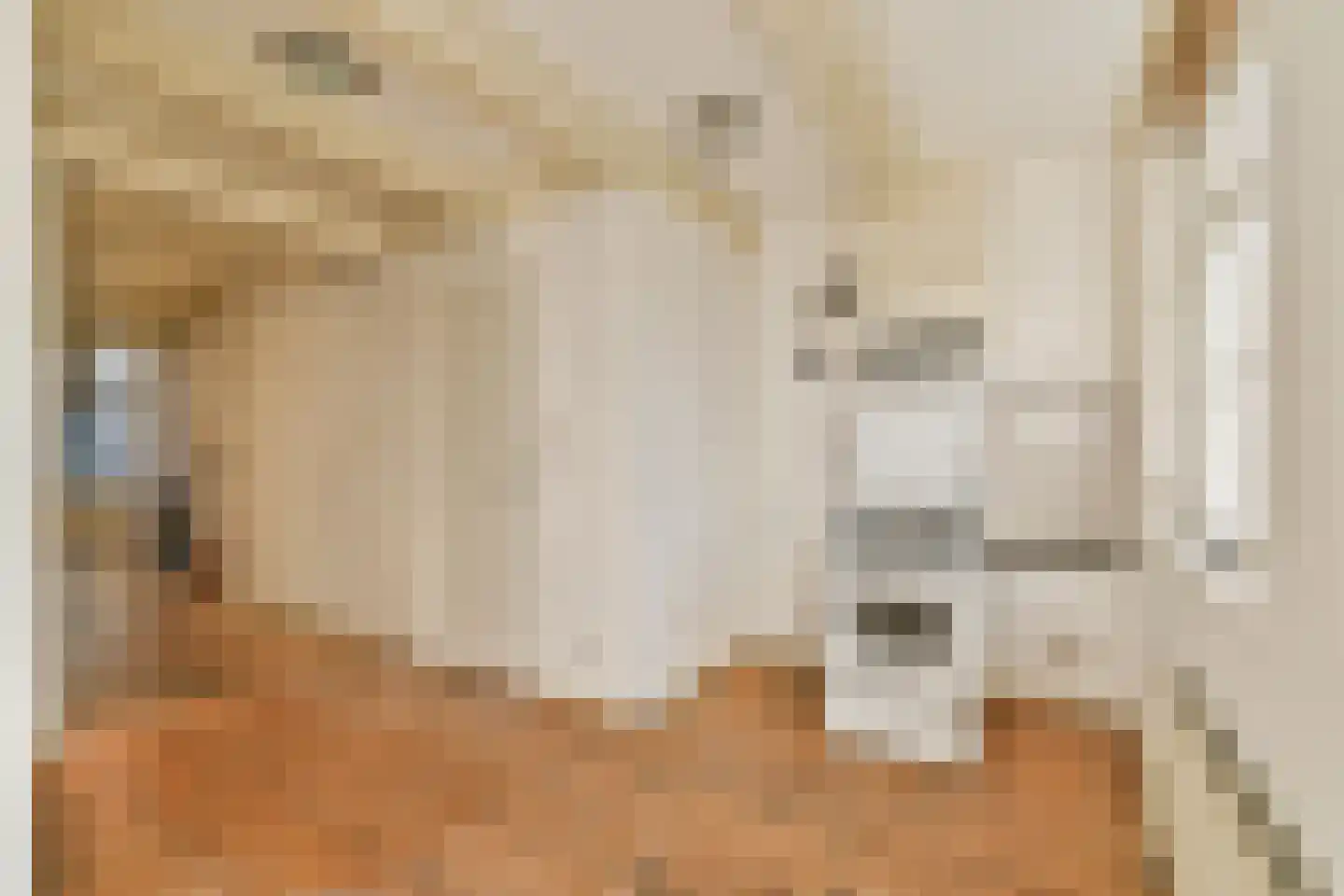 Voetboogstraat 12 1 Amsterdam thumbnail 6