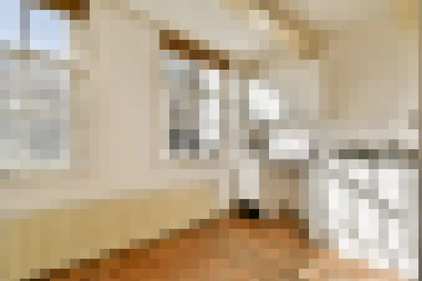 Voetboogstraat 12 1 Amsterdam thumbnail 7