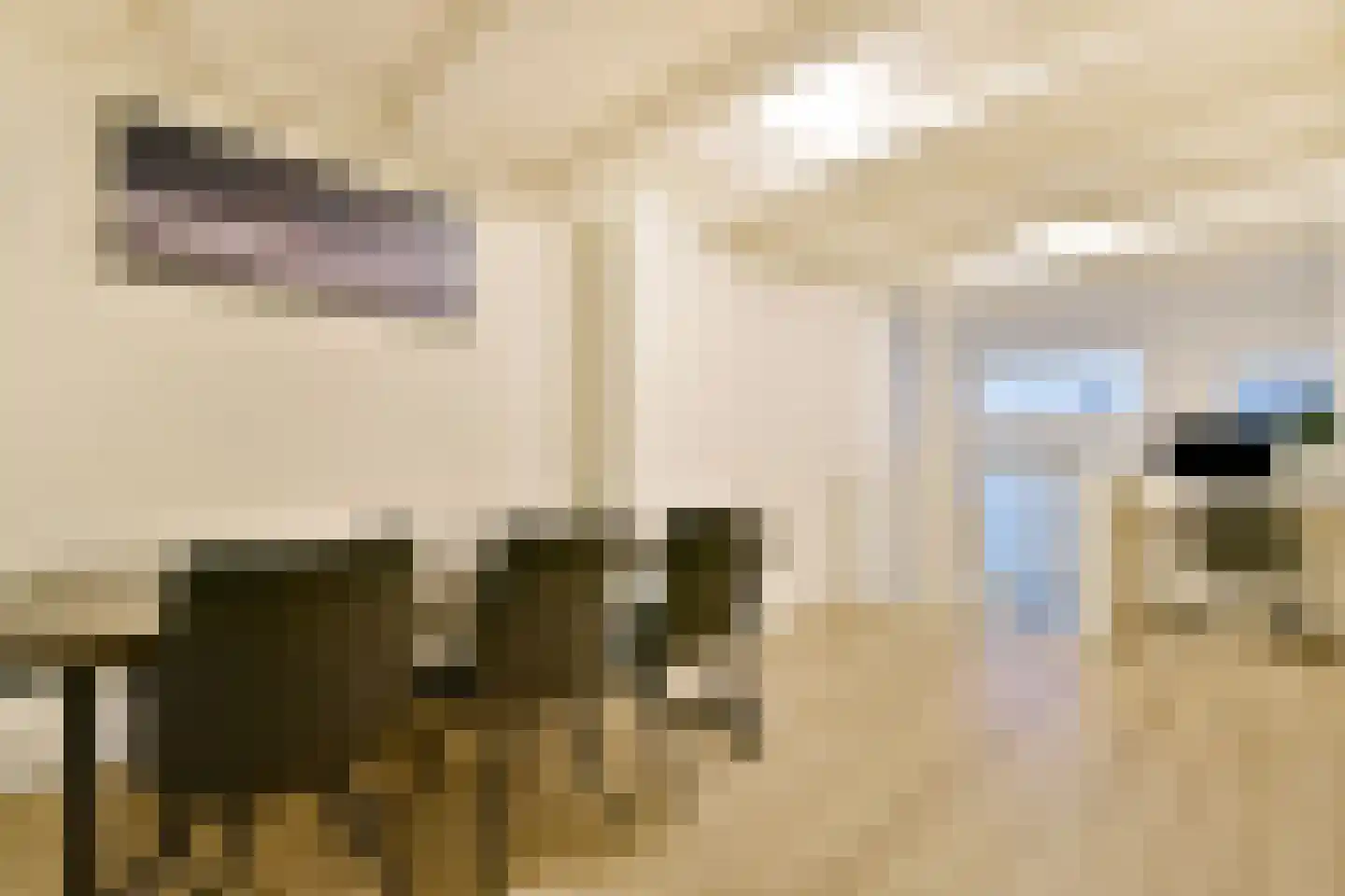 Voetboogstraat 27 A Amsterdam thumbnail 13