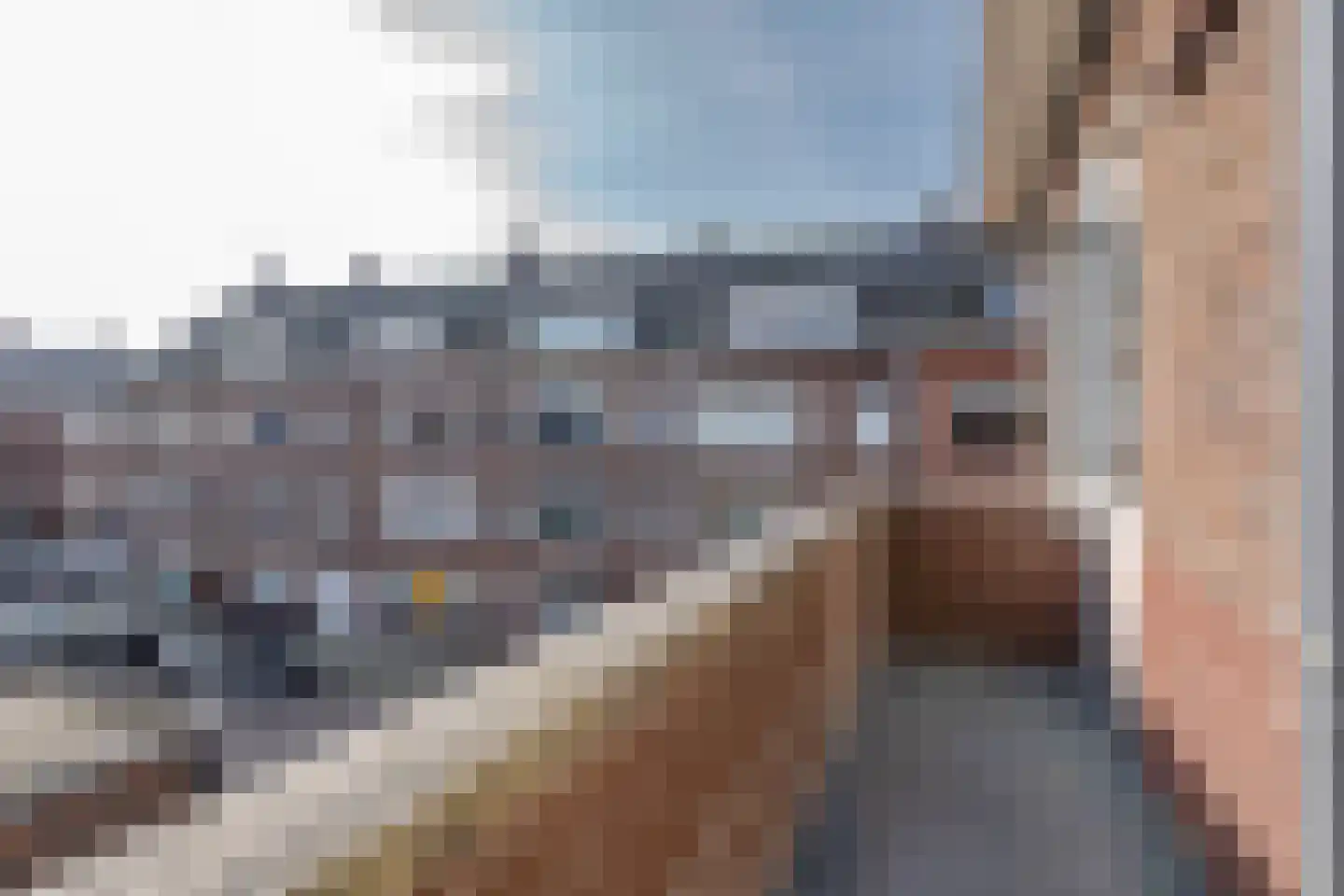 Voetjesstraat 40 A Rotterdam thumbnail 4