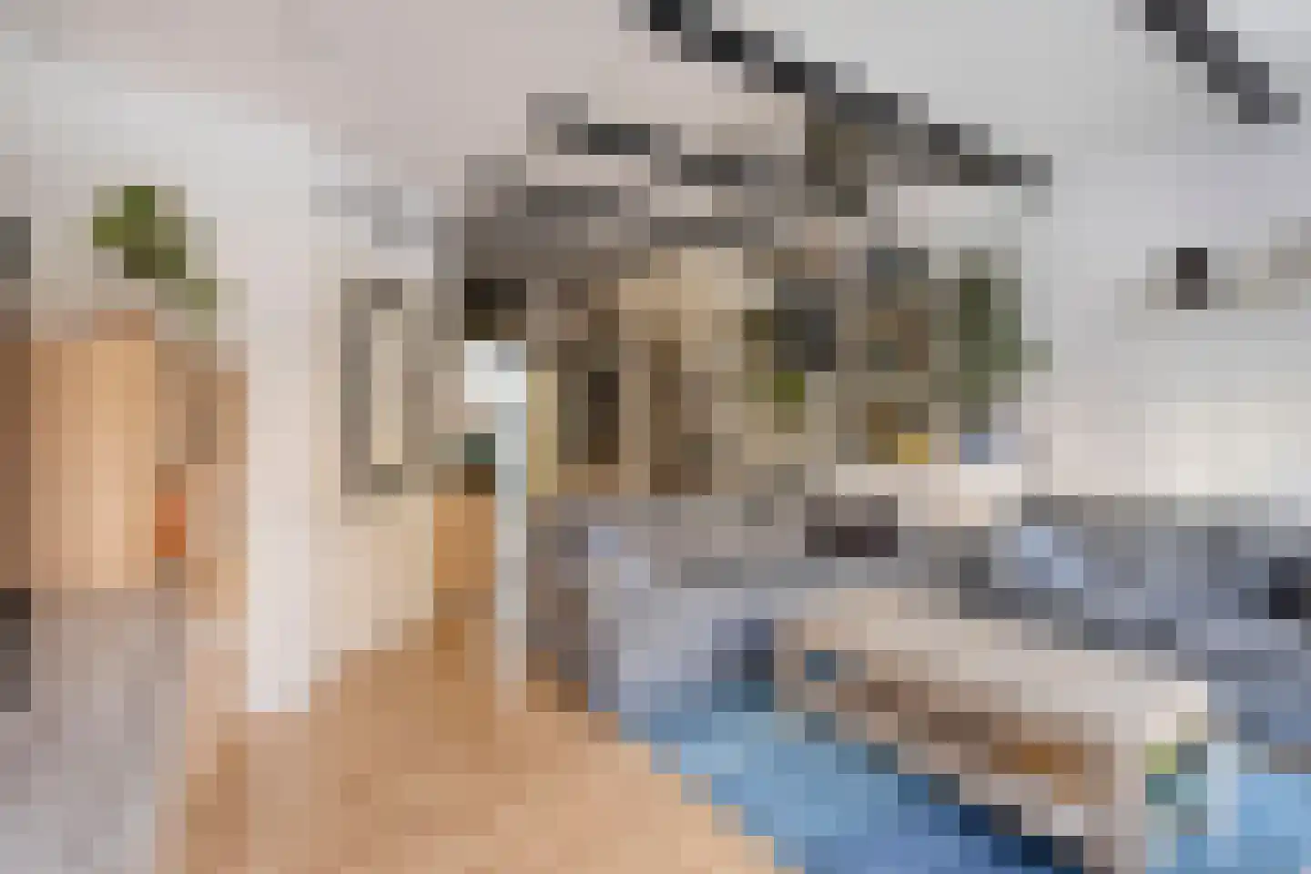 Voetjesstraat 46 A Rotterdam thumbnail 9
