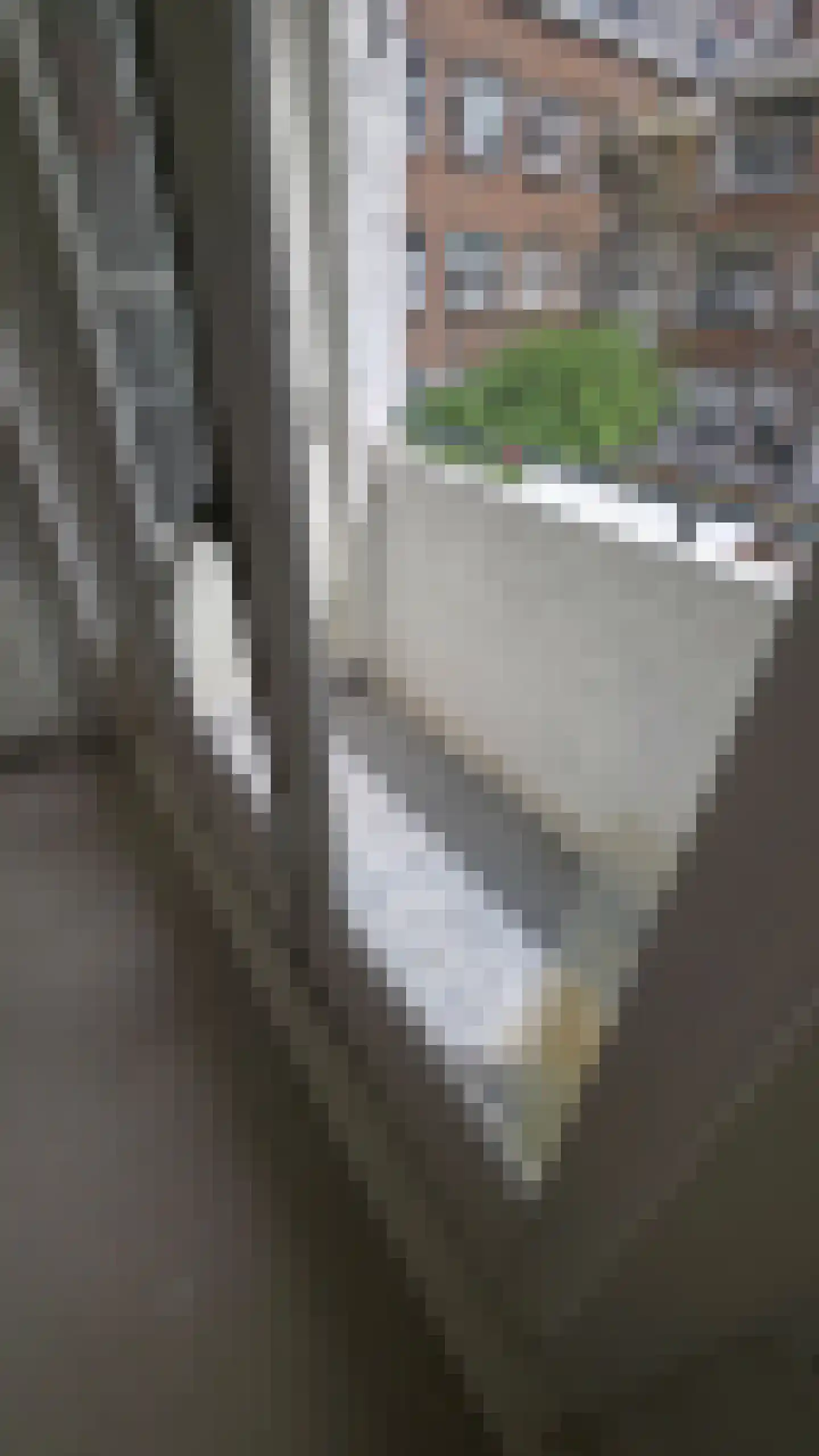 Voetjesstraat 48 B Rotterdam thumbnail 11