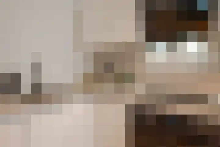 Voetjesstraat 54 A Rotterdam thumbnail 15