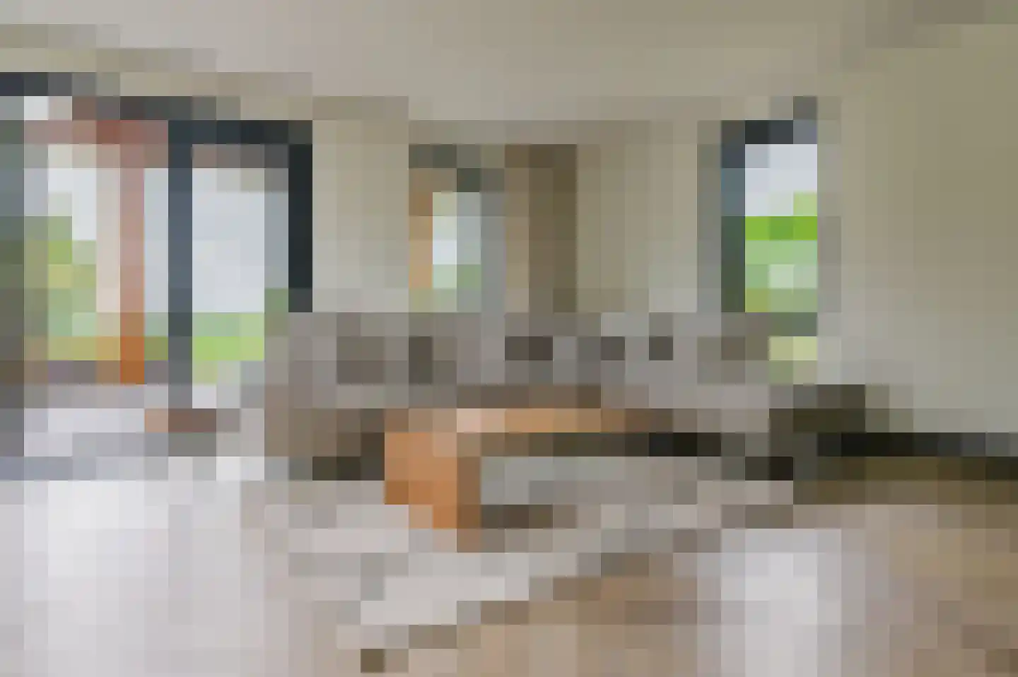 Voetpad 66 Scherpenzeel thumbnail 14