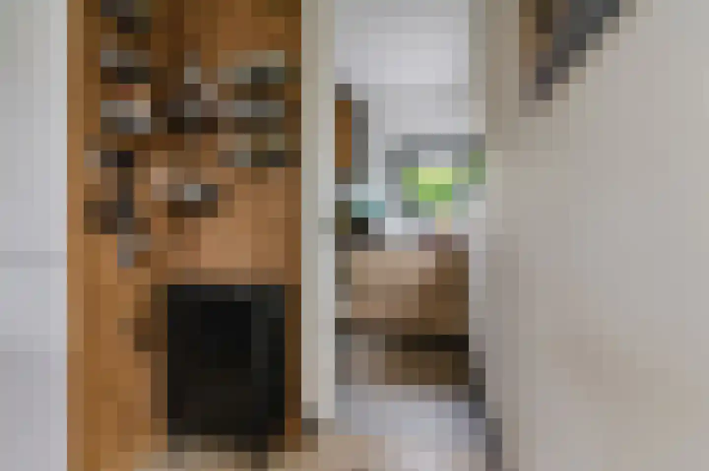 Voetpad 66 Scherpenzeel thumbnail 23