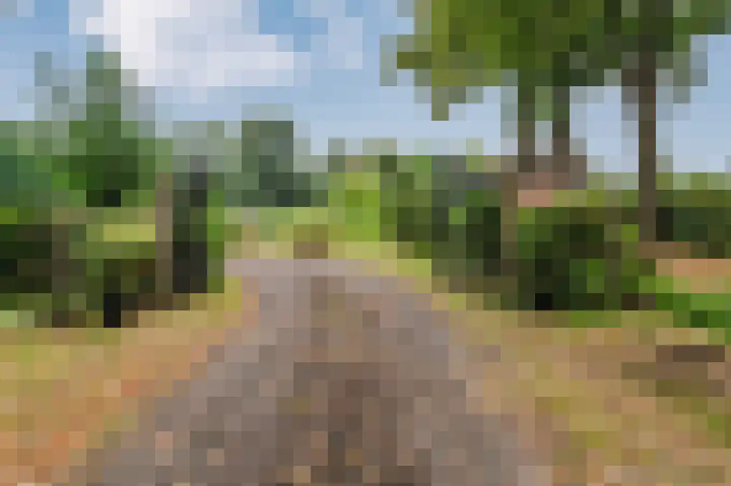 Voetpad 66 Scherpenzeel foto 3