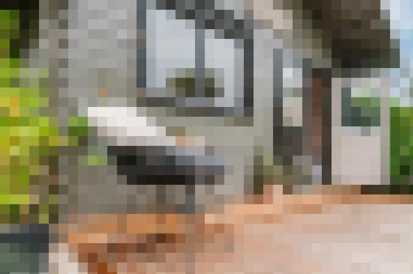 Voetpad 66 Scherpenzeel thumbnail 39