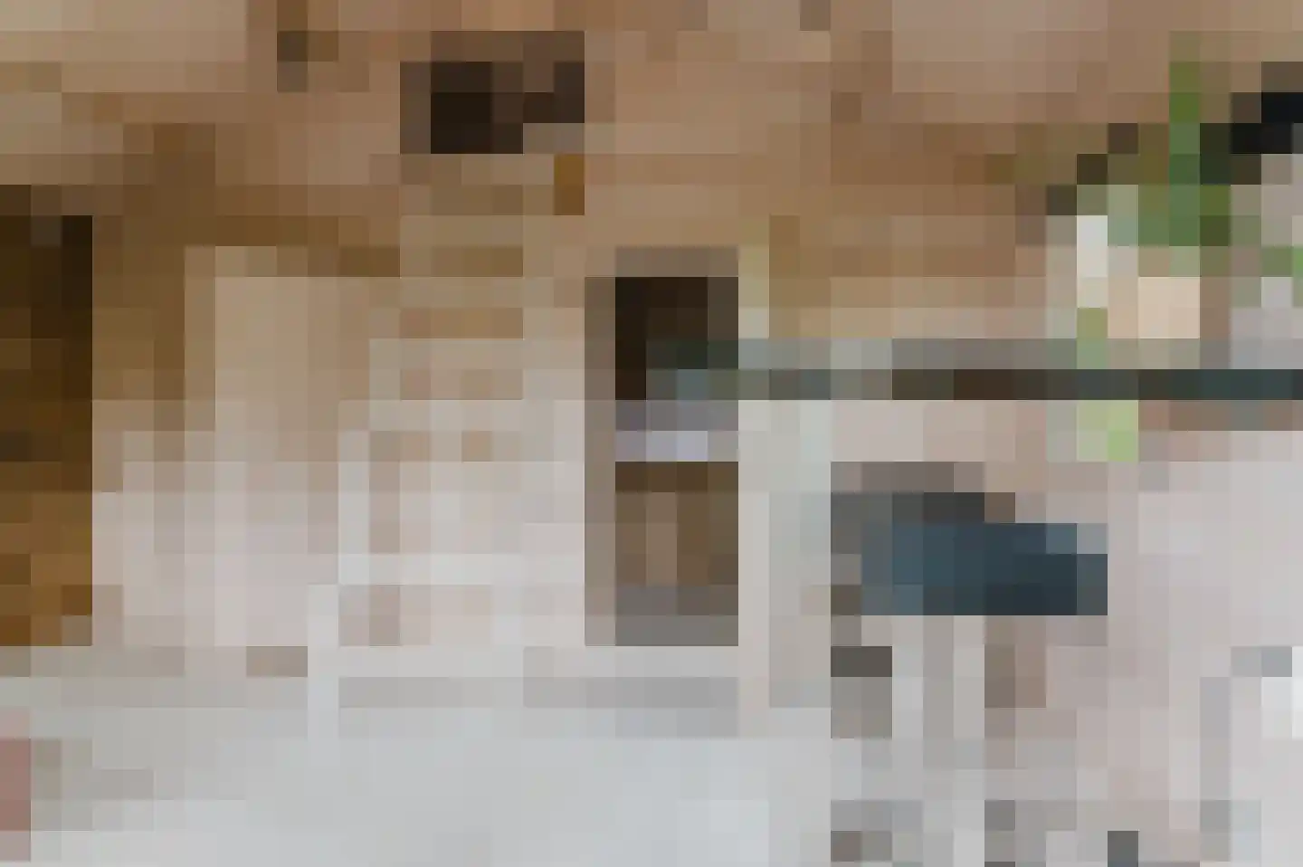 Voetpad 66 Scherpenzeel thumbnail 41
