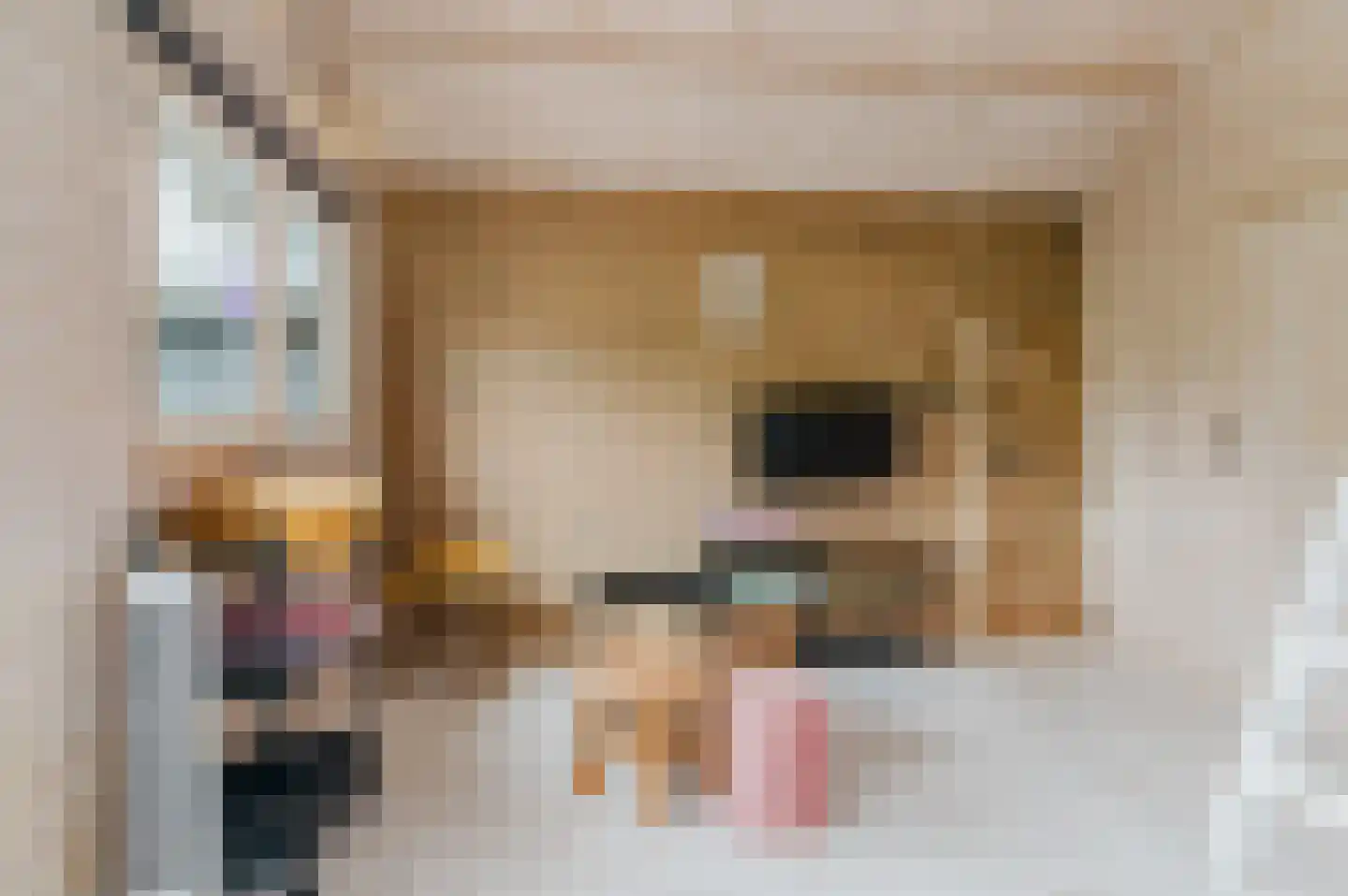Voetpad 66 Scherpenzeel thumbnail 42