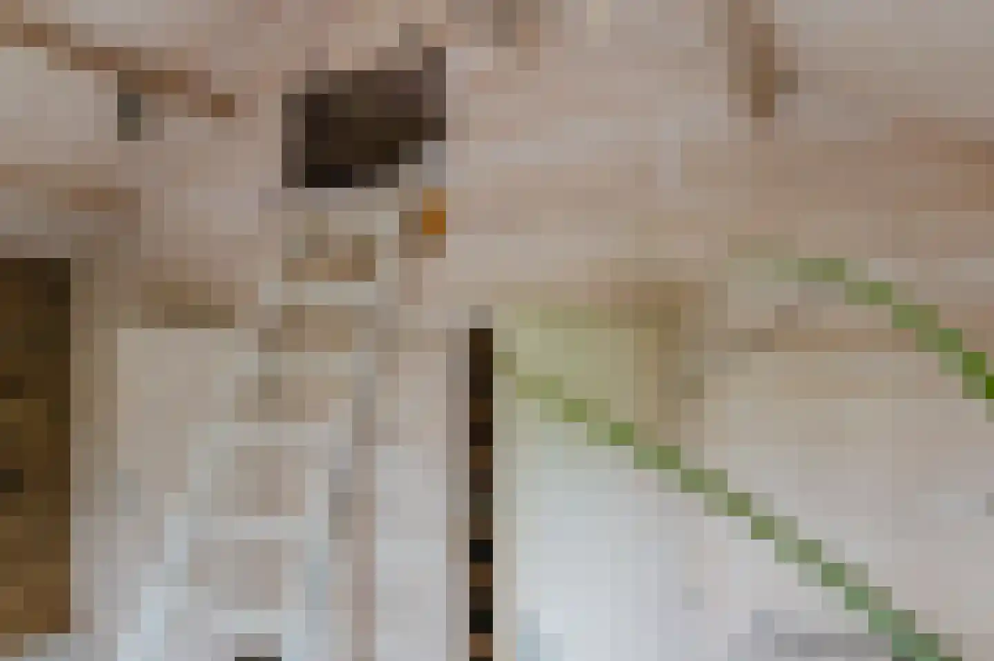 Voetpad 66 Scherpenzeel thumbnail 48