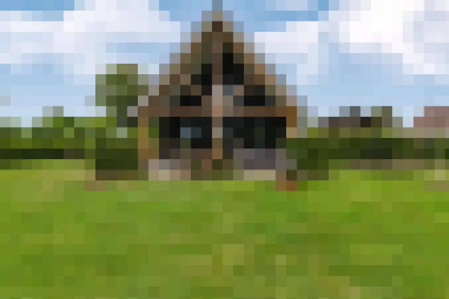 Voetpad 66 Scherpenzeel thumbnail 49