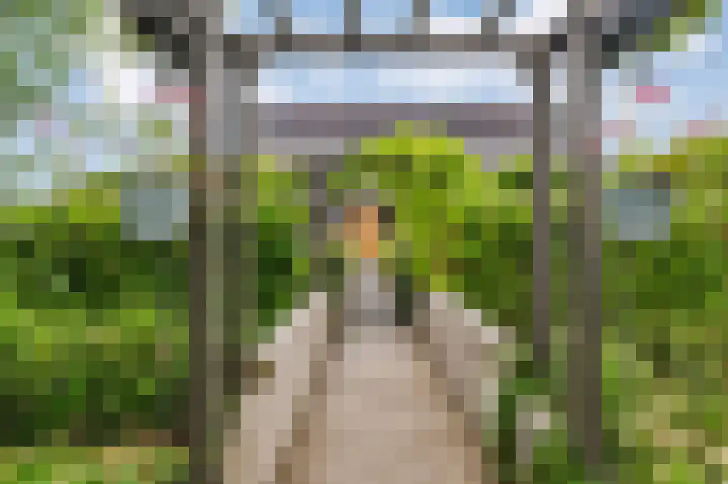 Voetpad 66 Scherpenzeel thumbnail 5