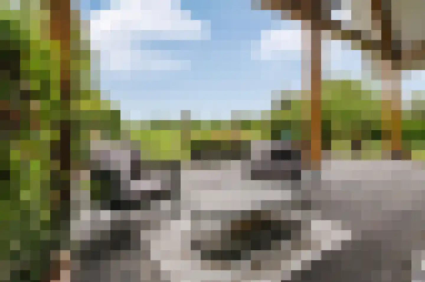Voetpad 66 Scherpenzeel thumbnail 52