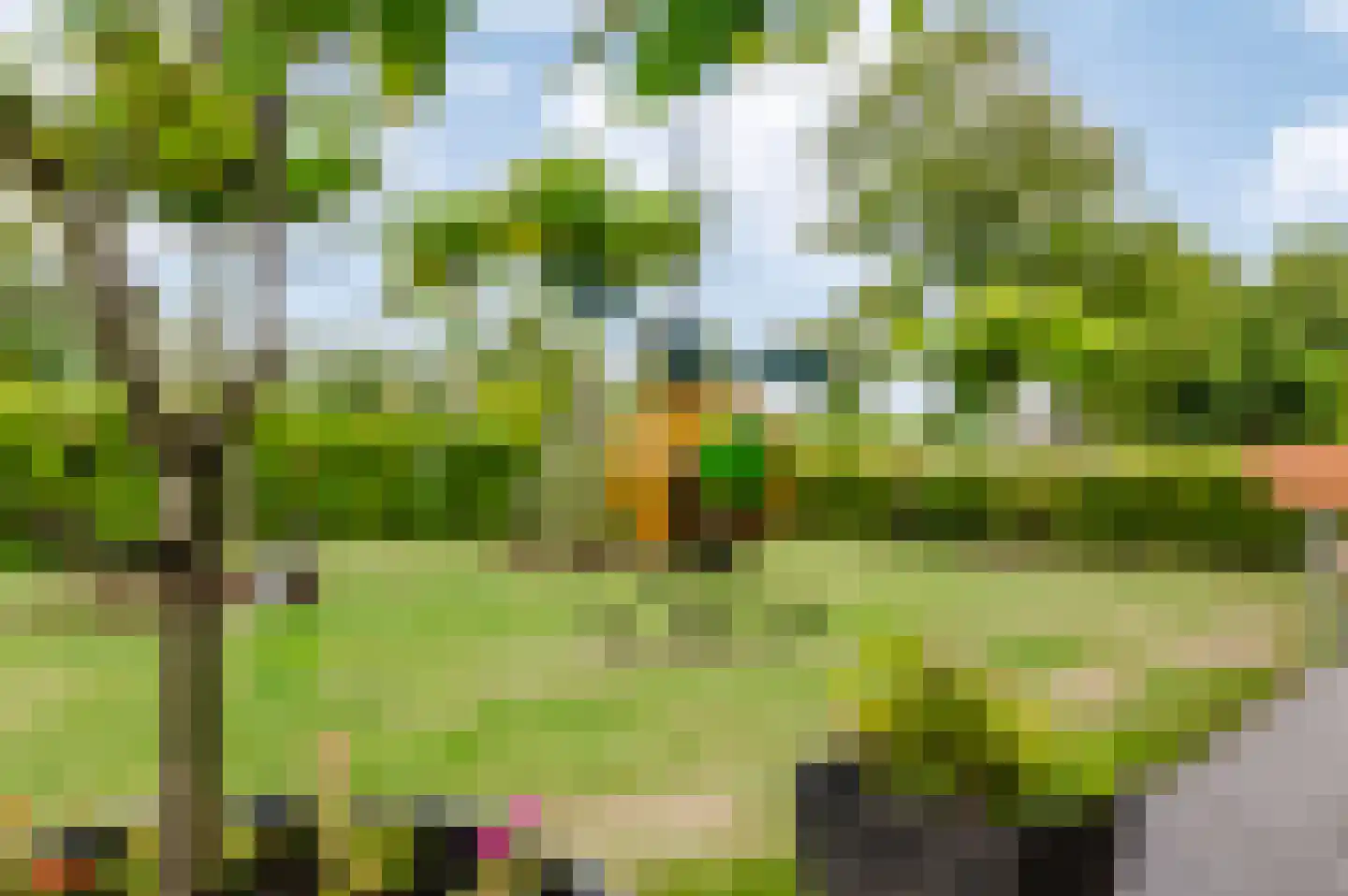 Voetpad 66 Scherpenzeel thumbnail 53