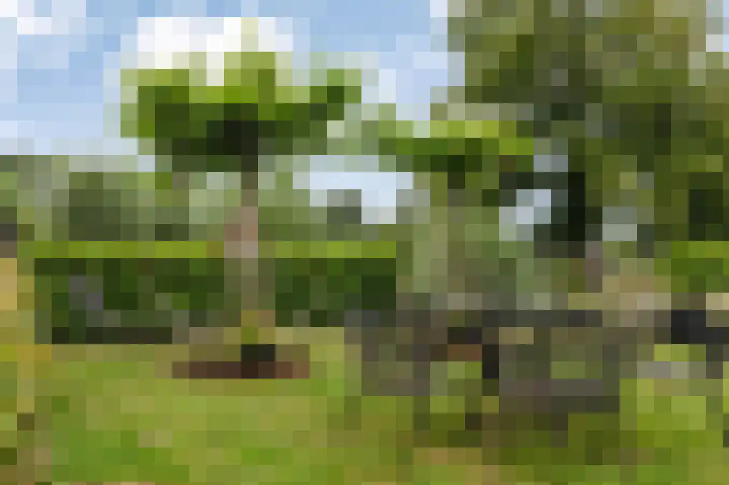 Voetpad 66 Scherpenzeel thumbnail 54
