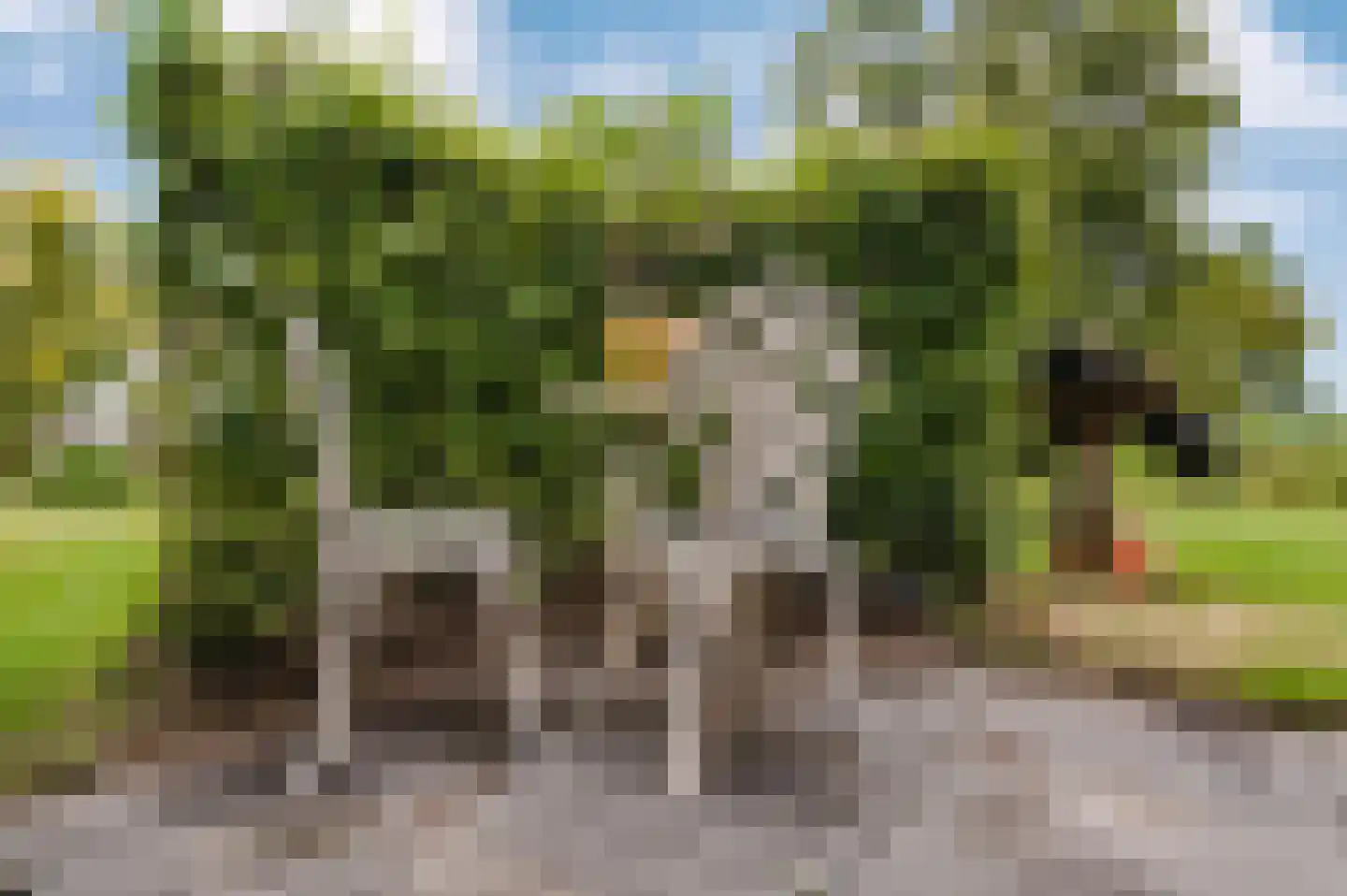 Voetpad 66 Scherpenzeel thumbnail 56