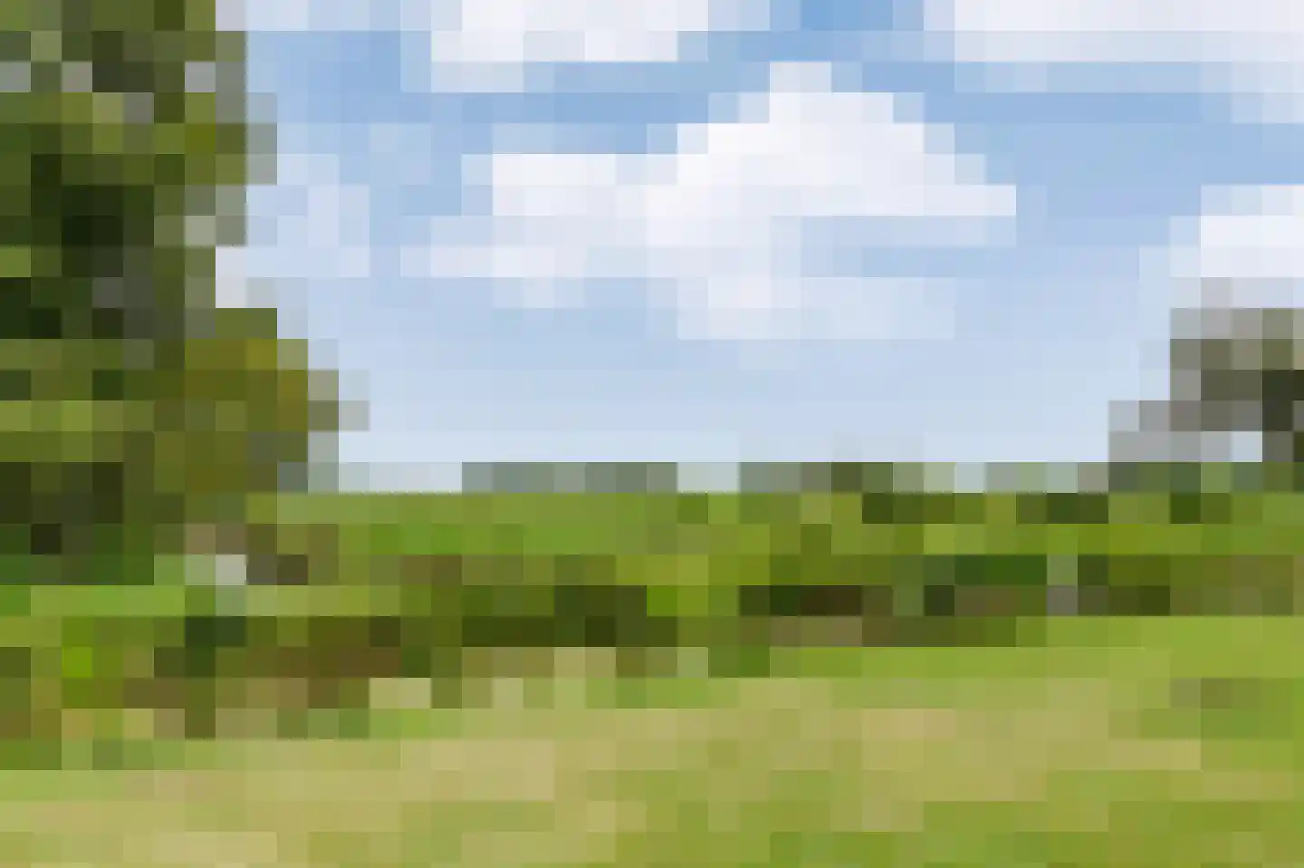 Voetpad 66 Scherpenzeel thumbnail 57