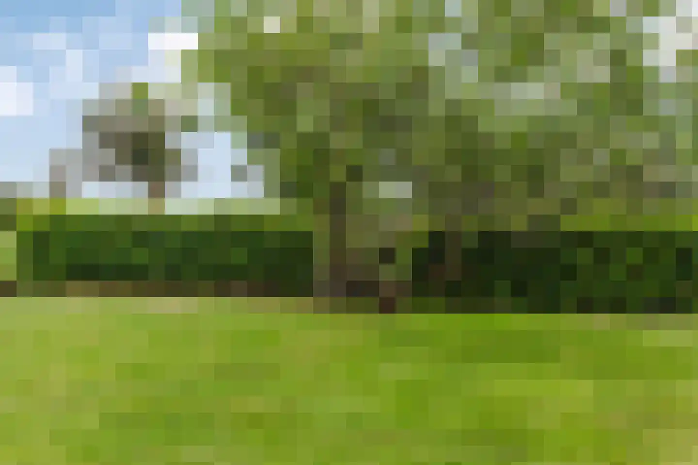 Voetpad 66 Scherpenzeel thumbnail 58