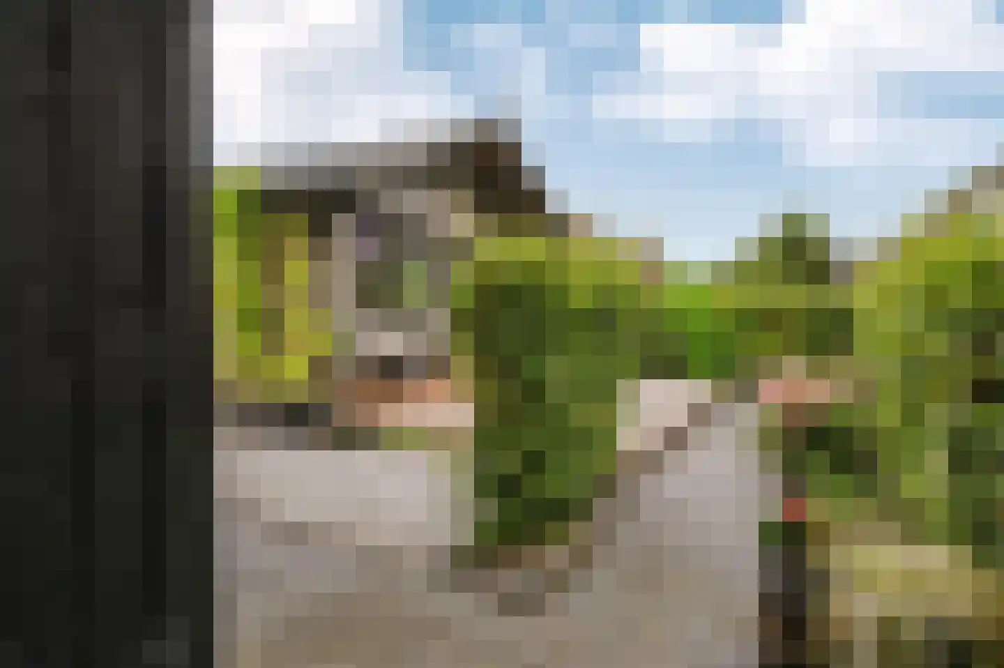 Voetpad 66 Scherpenzeel thumbnail 59