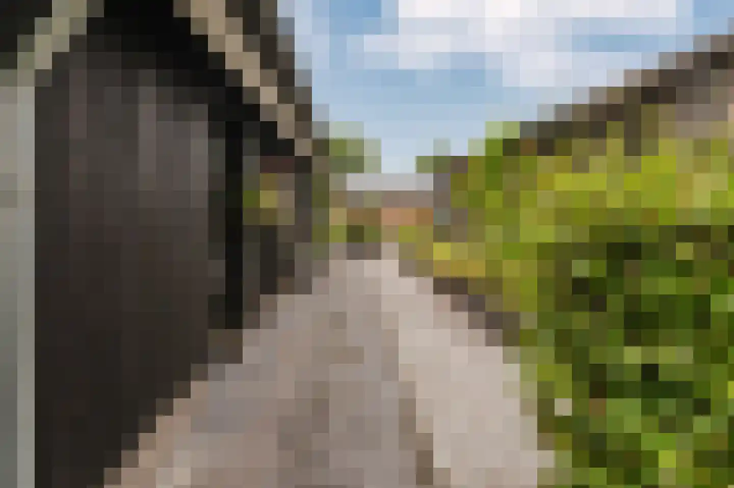 Voetpad 66 Scherpenzeel thumbnail 62